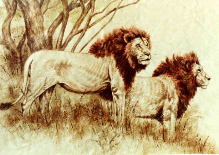 Two alert male African lions, hand painted portrait tile art in sepia tones.