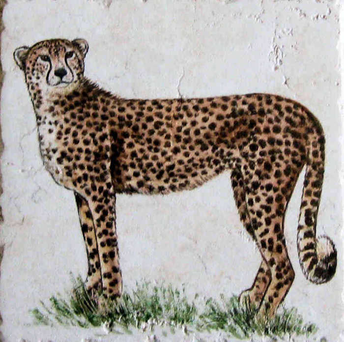 African wildlife portrait accent tiles. cheetah closeup, by Julia Sweda.