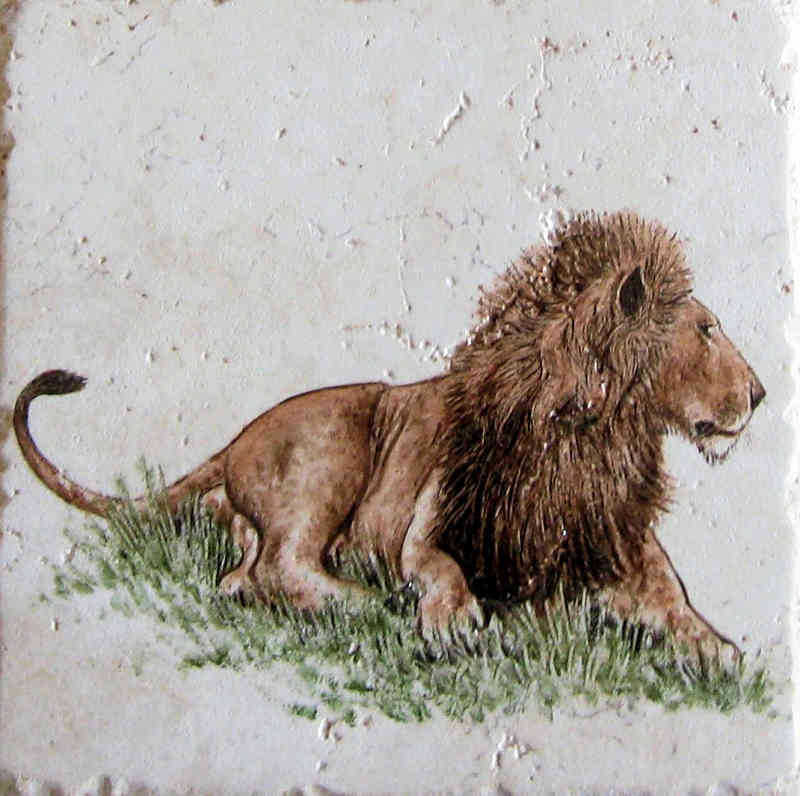 African wildlife portrait accent tiles. male lion closeup, by Julia Sweda.