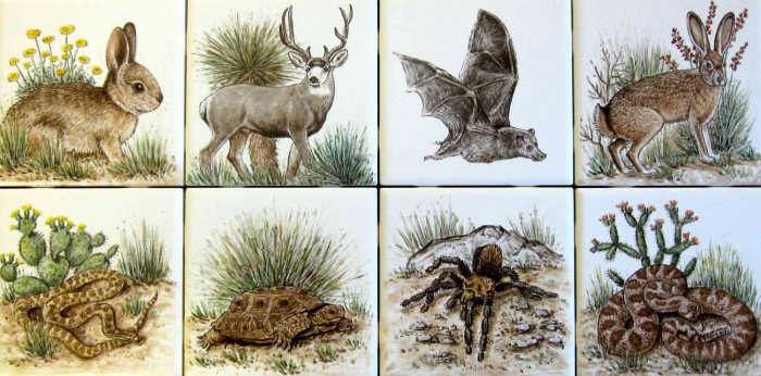 Wild birds and fauna of Sonoran Desert Huachuca Mountains, Arizona decorative accent tile portraits.