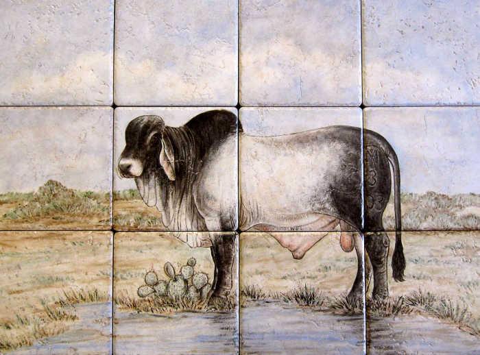 Pet Brahman Bull named Buck, gentle bull at home on his rural Texas property. Hand painted tile art portrait by Julia Sweda.