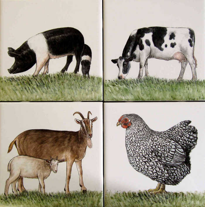 Portraits of typical farm, ranch, barnyard animals, birds, fowl and pets.