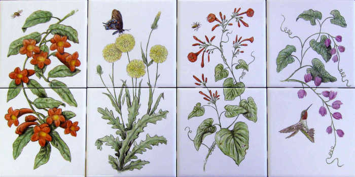 Four two tile vignetes with crossvine, Carolina desert-chicory, scarlet morning glory, coral vine with Ruby-throated Hummingbird. Artist Julia Sweda.