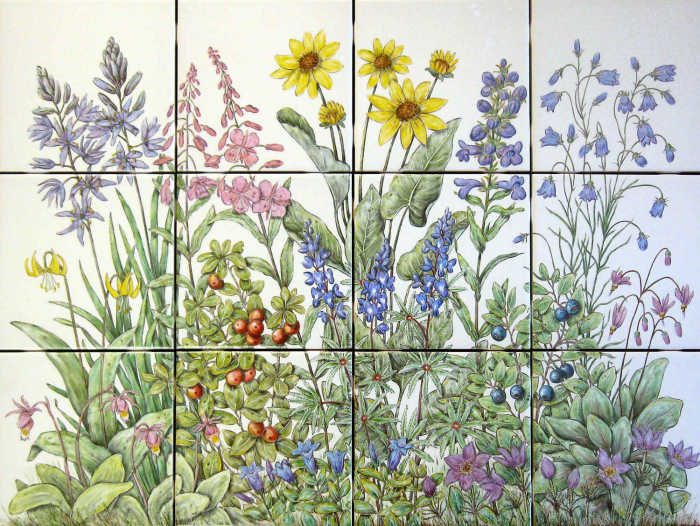Bearberry, black huckleberry plants, array of wildflowers native to state of Montana, backsplash tile mural.