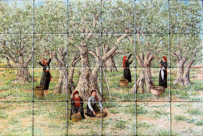 Hanans Palestine Olive Harvest tile mural, women in traditional garb, harvesting olives from ancient trees. Artist Julia Sweda.