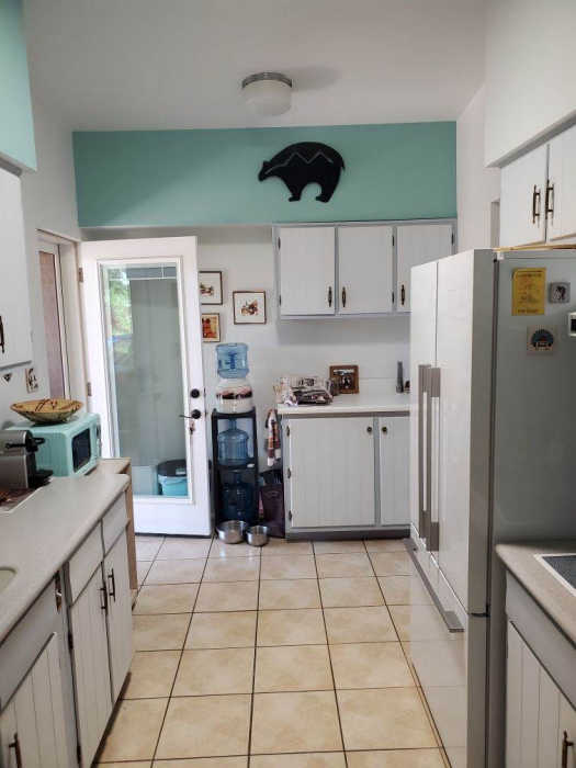 First view of kitchen before starting the makeover.