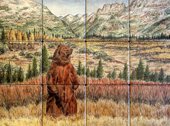 Portraits of various bear species in nature and natural surroundings.