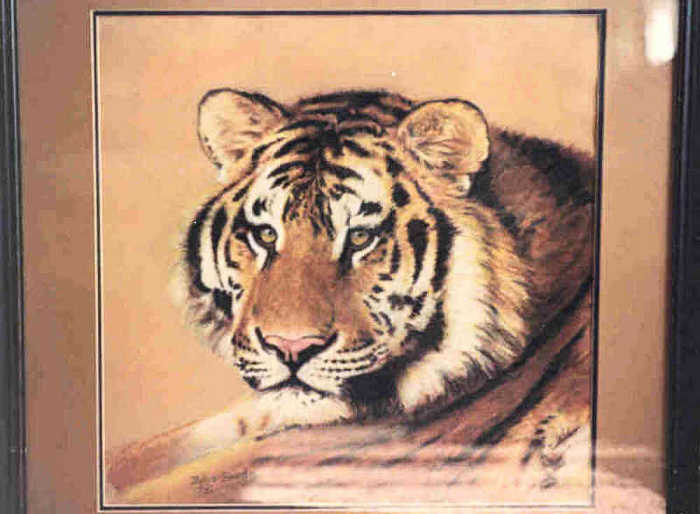 Juvenile Siberian Tiger Head Study, color pastel wildlife drawing by artist Julia Sweda.